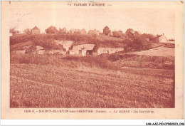 CAR-AAEP10-89-0963 - SAINT-MARTIN-SUR-OREUSE - La Borde - Les Carrieres - Saint Martin Du Tertre