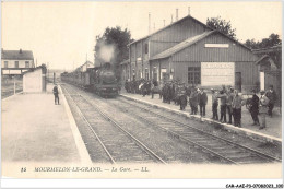 CAR-AAEP3-51-0253 - MOURMELON-LE-GRAND - La Gare - Train - Mourmelon Le Grand
