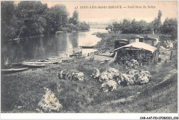 CAR-AAFP10-92-0874 - ISSY-LES-MOULINEAUX - Petit Bras De Seine - Issy Les Moulineaux