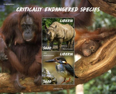 Liberia 2020, Animals In Danger, Rhino, Kingfisher, Gorillas, BF - Rinoceronti