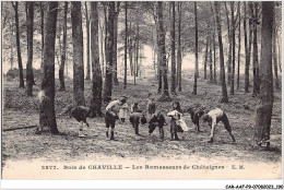 CAR-AAFP9-92-0850 - Bois De CHAVILLE - Les Ramasseurs De Châtaignes - Agriculture - Chaville