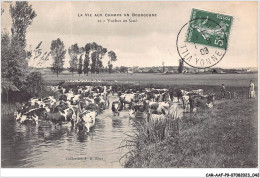 CAR-AAFP9-89-0776 - La Vie Aux Champs En Bourgogne - Vaches Au Gué - Agriculture - Autres & Non Classés