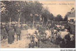 CAR-AAFP8-86-0690 - CHATELLERAULT - Le Champ De Foire - Agriculture - Chatellerault