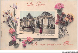 CAR-AAGP6-75-0493 - De PARIS Je Vous Envoie Ces Fleurs - Petit Palais Des Champs Elysées - Sonstige & Ohne Zuordnung