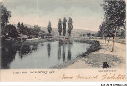 CAR-AAGP5-67-0447 - GRUSS AUS WEISSENBURG - Schwanenweither - Autres & Non Classés