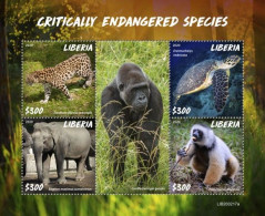 Liberia 2020, Animals In Danger, Turtle, Elephant, Leopard, Gorillas, BF - Roofkatten