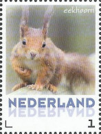 Netherlands Pays-Bas Niederlande 2013 Zoo Squirrel Stamp MNH - Knaagdieren