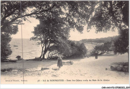 CAR-AAHP11-85-0973 - ILE DE NOIRMOUTIER - Sous Les Chênes Verts Du Bois De La Chaize - Ile De Noirmoutier