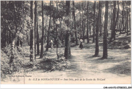 CAR-AAHP11-85-0963 - ILE DE NOIRMOUTIER - Sous Bois Près De La Grotte Du Pré-lavé - Ile De Noirmoutier