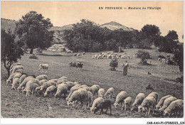 CAR-AAHP1-13-0063 - EN PROVENCE - Moutons En Pâturage - Aix En Provence