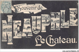 CAR-AAGP8-78-0762 - Souvenir De NEAUPHLE-LE-CHATEAU  - Neauphle Le Chateau
