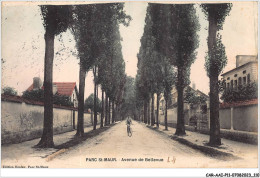 CAR-AAIP11-94-1035 - PARC ST MAUR - Avenue De Bellevue  - Saint Maur Des Fosses