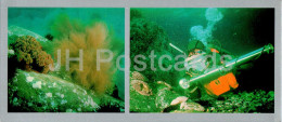 Bay Of The Peter The Great - Underwater Survey - Colony Of Actinias - Desmorestia Seaweed - 1980 - Russia USSR - Unused - Russland