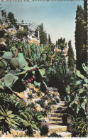 MO 15- JARDIN EXOTIQUE DE MONACO -  CARTE  COULEURS - 2 SCANS  - Giardino Esotico