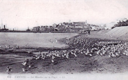 06 -  CANNES - Les Mouettes Sur La Plage - Cannes