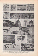 Préhistoire. Art Pariétal. Alignement De Carnac. Les Eysies. Menhir De Penvern, De Kerscaven; Pernmarch .. Larousse 1948 - Documents Historiques