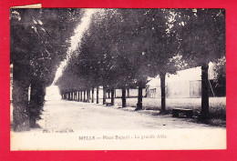 F-79-Melle-08P260  Place Bujault, La Grande Allée, Cpa BE - Melle