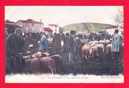 F-63-Auvergne-26Ph124  En Auvergne, La Foire Aux Bughes, (moutons) Cpa Colorisée Précurseur - Sonstige & Ohne Zuordnung