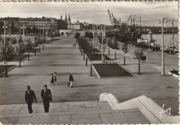 NE 4-(33) BORDEAUX - NOUVEAUX JARDINS DES QUINCONCES - QUAI LOUIS XVIII - 2 SCANS  - Bordeaux