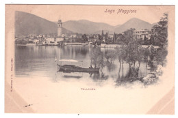 LAGO MAGGIORE - Pallanza  - Autres & Non Classés