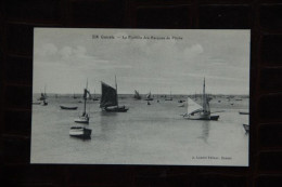 35 - CANCALE : La Flotille Des Barques De Pêche - Cancale