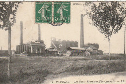 NE 8-(33) PAUILLAC - LES HAUTS FOURNEAUX ( VUE GENERALE )- 2 SCANS - Pauillac