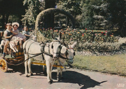 NE 9-(33) BORDEAUX - JARDIN PUBLIC - LE PANIER FLEURI - ENFANTS SUR CHEVAUX DE BOIS , ATTELAGE ANES - CARTE COULEURS  - Bordeaux