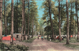 NE 9-(33) ANDERNOS LES BAINS - LE MAURET - ALLEE DANS LE TERRAIN DE CAMPING - CARTE COULEURS  - 2 SCANS - Andernos-les-Bains