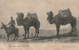 NE 11- TURQUIE - SOUVENIR DE SMYRNE - CARAVANE DE CHAMEAUX  - 2 SCANS - Turquia