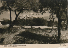 NE 15 - ATHENS - SRINGTIME IN ACROPOLIS - ATHENES - PRINTEMPS A L' ACROPOLE - 2 SCANS - Greece