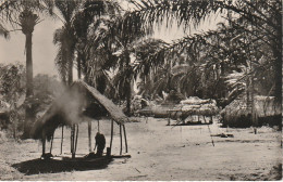 NE 16 - L' AFRIQUE NOIRE - L' EVEIL DU VILLAGE  - 2 SCANS - Afrika