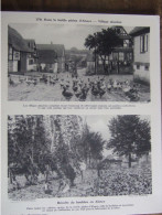 DANS LA FERTILE PLAINE D'ALSACE / VILLAGE ALSACIEN  / RECOLTE DU HOUBLON - Geographie