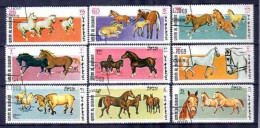 Umm Al-Qiwain 1969 Chevaux (29) Yvert N° 83 Et PA 21 Oblitéré Used - Umm Al-Qaiwain