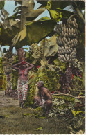 NE 18 - AFRIQUE -  BANANERAIE - COUPLE  - CARTE COULEURS - 2 SCANS - Landbouw