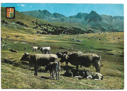 PASTURATGES DE LA VALL D'ENVALIRA / PASTURAGE IN THE ENVALIRA VALLEY.- VALLS D'ANDORRA.- VALL D'ENVALIRA,. ANDORRA - Andorre