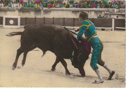 NE 22 - CORRIDA - UNE TRES BELLE ESTOCADE EXECUTEE PAR GONZALEZ - CARTE COULEURS - 2 SCANS - Stierkampf