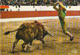 NE 22- CORRIDA - UNE BELLE PAIRE DE BANDERILLES - UN BUEN PAR DE BANDERILLAS - TORERO : GIRON - CARTE COULEURS - 2 SCANS - Stierkampf