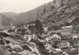 NE 23 - VALLS D' ANDORRA - ANDORRA LA VELLA, VISTA GENERAL - ANDORRE LA VIEILLE - VUE GENERALE - TROUPEAU DE VACHES  - Andorre