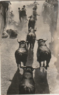 NE 26 - PAMPLONA - ENCIERRO DE LOS TOROS - 2 SCANS - Navarra (Pamplona)