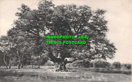 R549161 Sherwood Forest. The Major Oak. Valentine Series - World