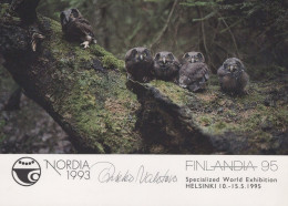 OISEAU Animaux Vintage Carte Postale CPSM #PAN265.A - Vogels