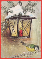 VOGEL Tier Vintage Ansichtskarte Postkarte CPSM #PAN081.A - Oiseaux