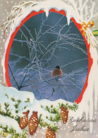 OISEAU Animaux Vintage Carte Postale CPSM #PAN025.A - Oiseaux