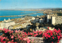 Navigation Sailing Vessels & Boats Themed Postcard Alger La Blanche 1975 - Segelboote