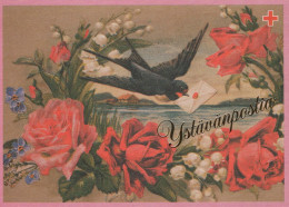 PÁJARO Animales Vintage Tarjeta Postal CPSM #PBR730.A - Birds