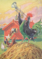 BIRD Animals Vintage Postcard CPSM #PBR609.A - Vogels