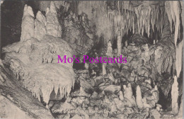 New Zealand Postcard - Ruakurl Caves, Waitomo  DZ269 - New Zealand