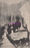 New Zealand Postcard - Ruakurl Caves, Waitomo  DZ270 - Nouvelle-Zélande