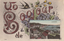 OP 11 -(06) UN BONJOUR DE CANNES - CARTE  FANTAISIE COLORISEE - FLEURS , HIRONDELLES - 2 SCANS - Cannes