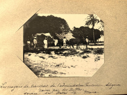 Mana , Guyane * Diligence De L'administation Pénitencière Services Des Hattes * Prison RARE Photo Circa 1890/1910 10x8cm - Altri & Non Classificati